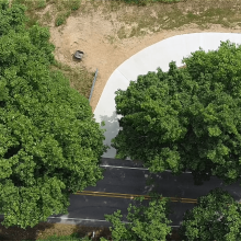 A long winding concrete driveway.